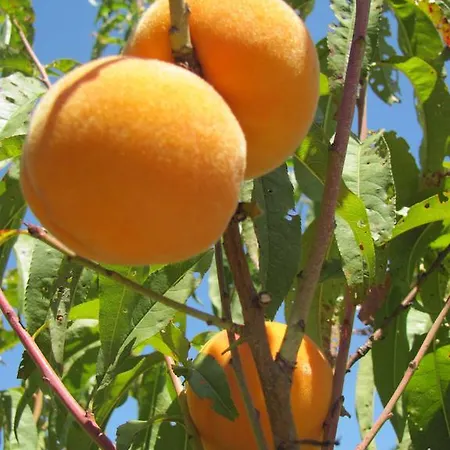 Prázdninový dům Quinta De Silvares Armamar