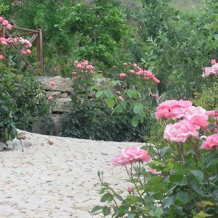 Quinta De Silvares Armamar