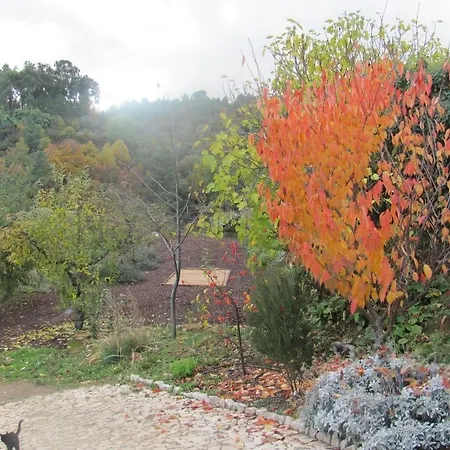 Quinta De Silvares Armamar