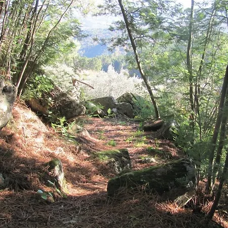 Prázdninový dům Quinta De Silvares