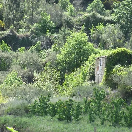 Hébergement de vacances Quinta De Silvares Armamar