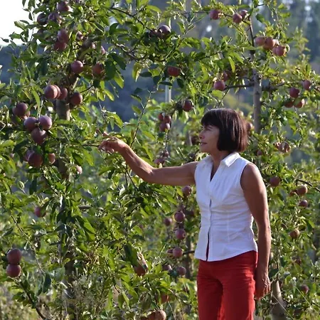 Hébergement de vacances Quinta De Silvares Armamar