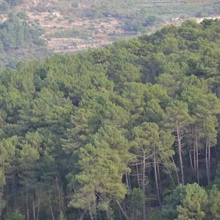 Hébergement de vacances Quinta De Silvares *